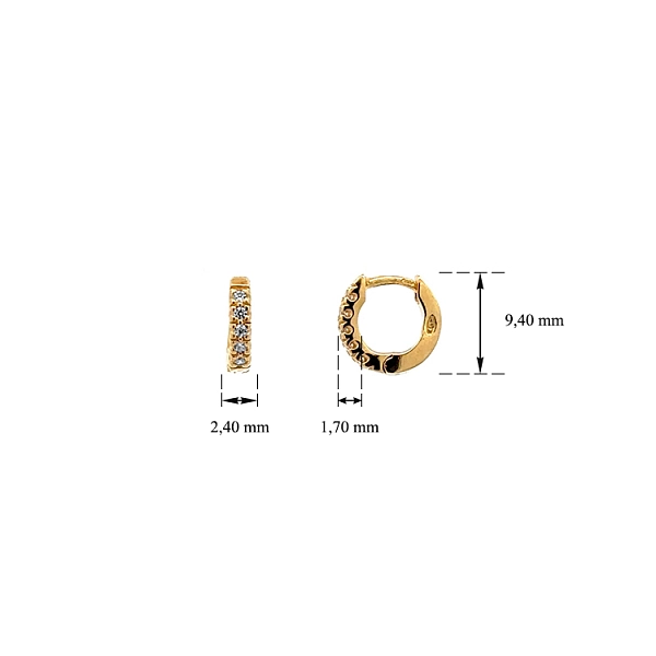 Gold Circular Earrings with Zircons