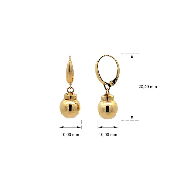 Gold dangle earrings