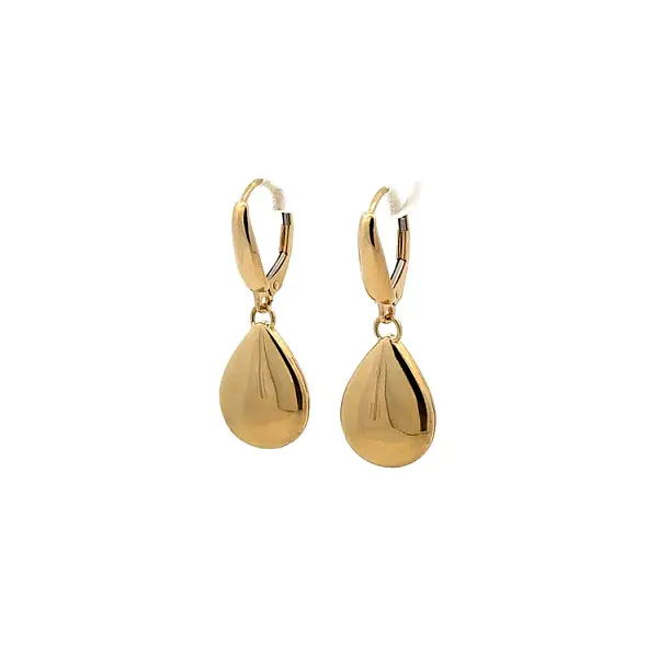 Gold dangle earrings