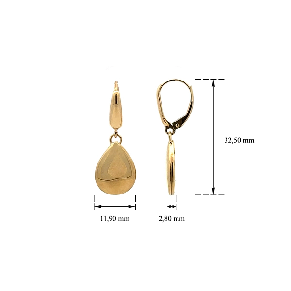 Gold dangle earrings