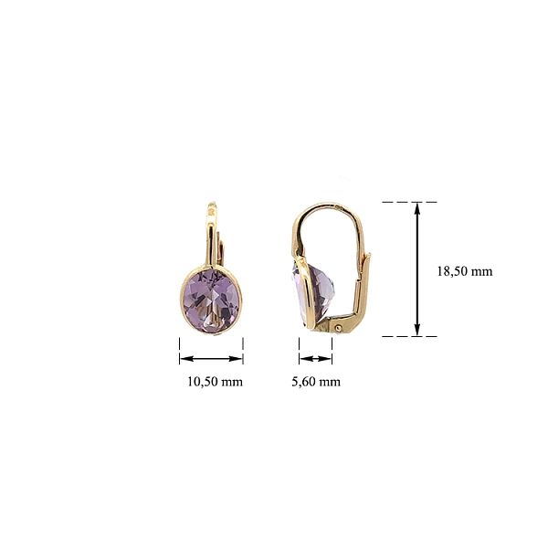 Gold Earrings with Purple Stones