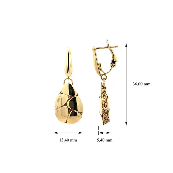 Gold dangle earrings