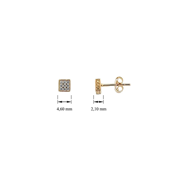 Gold Pecky Earrings with Zircones