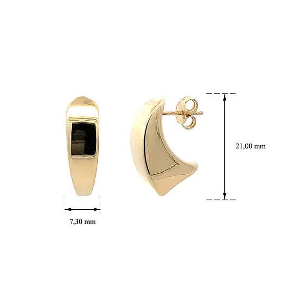 Gold Distinctive Earrings