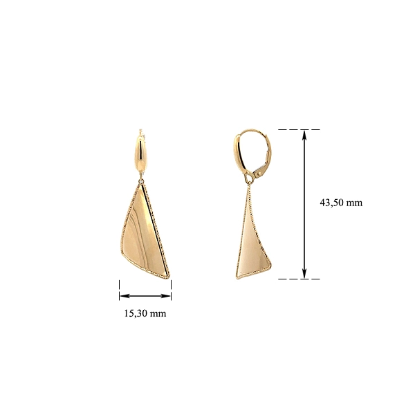 Gold dangle earrings