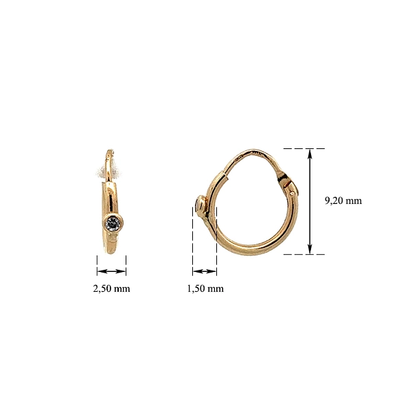 Gold Circular Earrings with Zircons