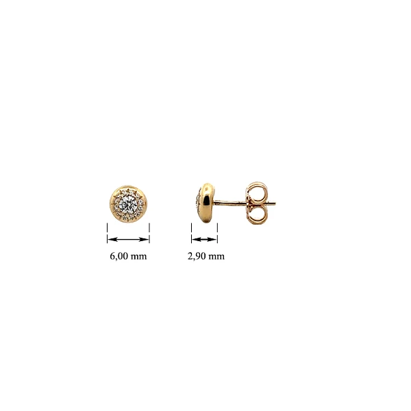 Gold Pecky Earrings with Zircones
