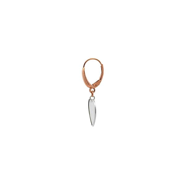 Pendant Earrings Heart in Gold Combination