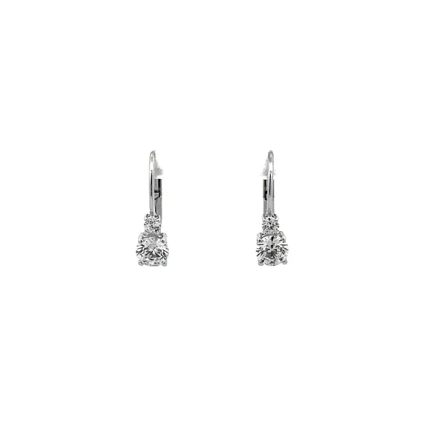 Earrings with White Gold Zircons