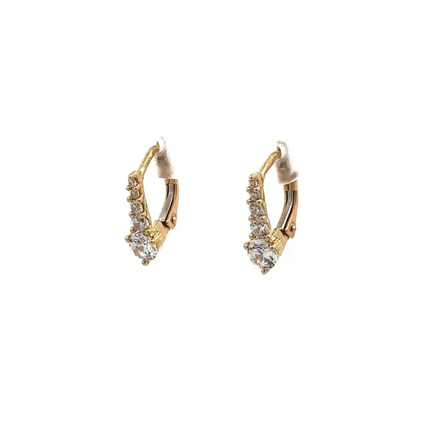 Gold Earrings with Zircons