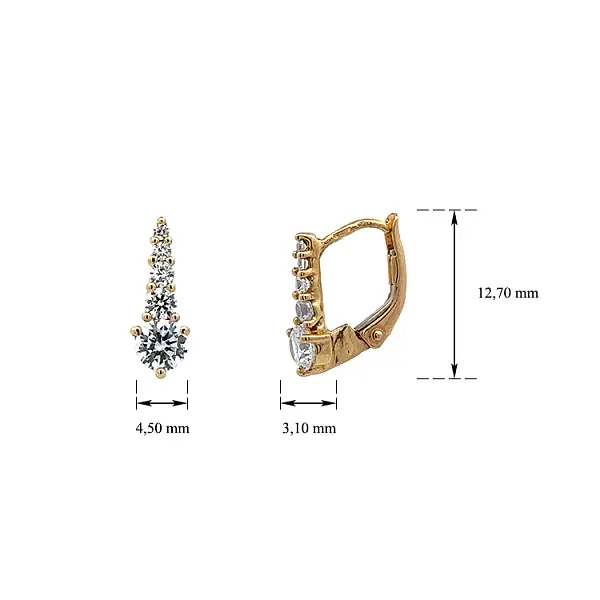 Gold Earrings with Zircons