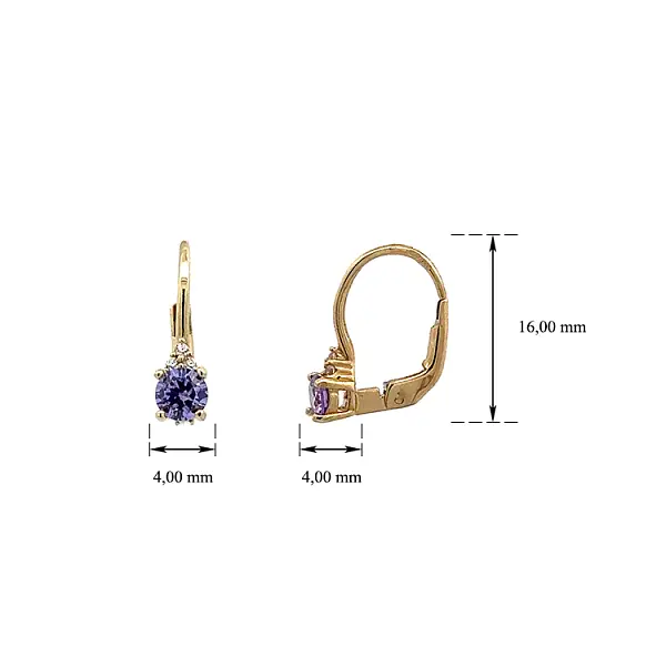 Gold Earrings with Amethyst