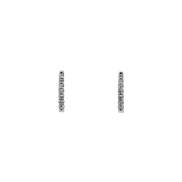 Earrings with White Gold Zircons