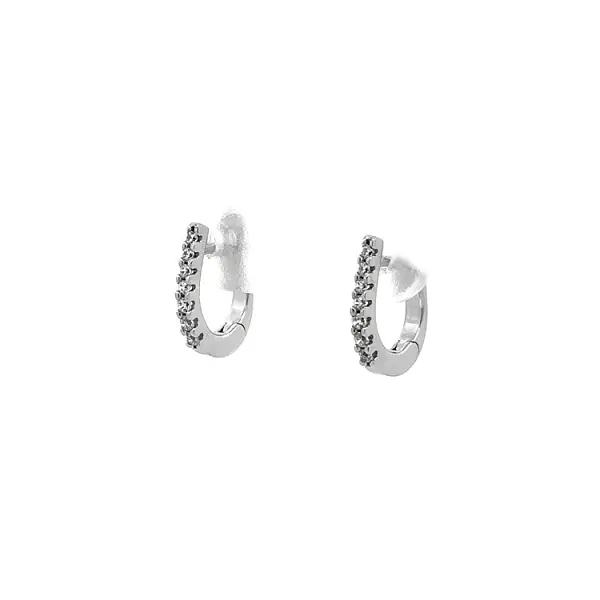 Earrings with White Gold Zircons