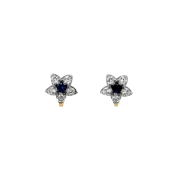 Gold Earrings with Sapphire
