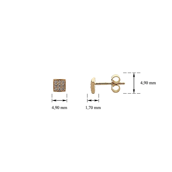 Gold Pecky Earrings with Zircones