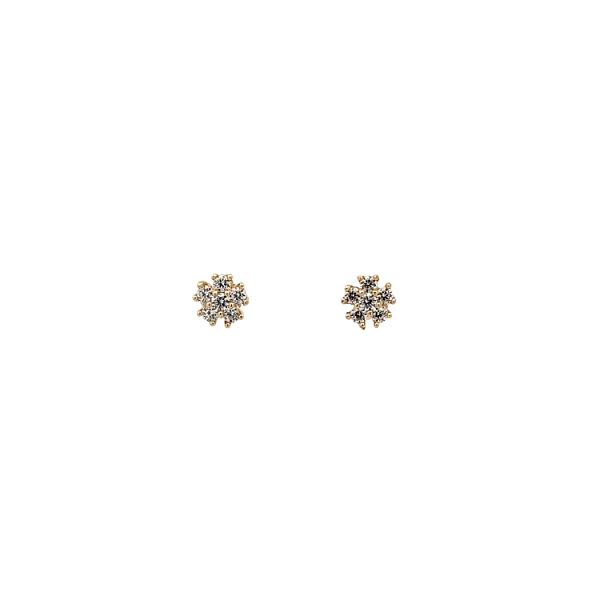Gold Pecky Earrings with Zircones