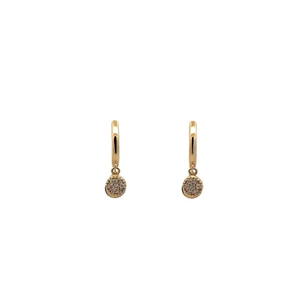 Gold Circular Earrings with Zircons