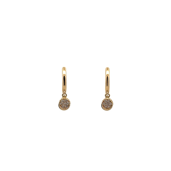 Gold Circular Earrings with Zircons