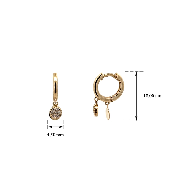Gold Circular Earrings with Zircons
