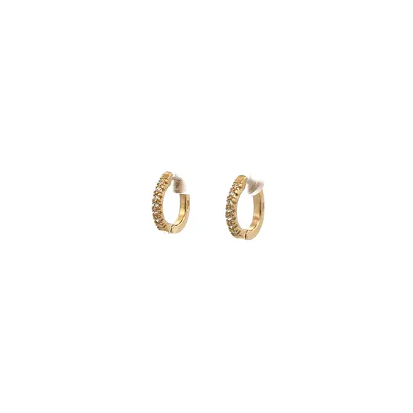 Gold Circular Earrings with Zircons