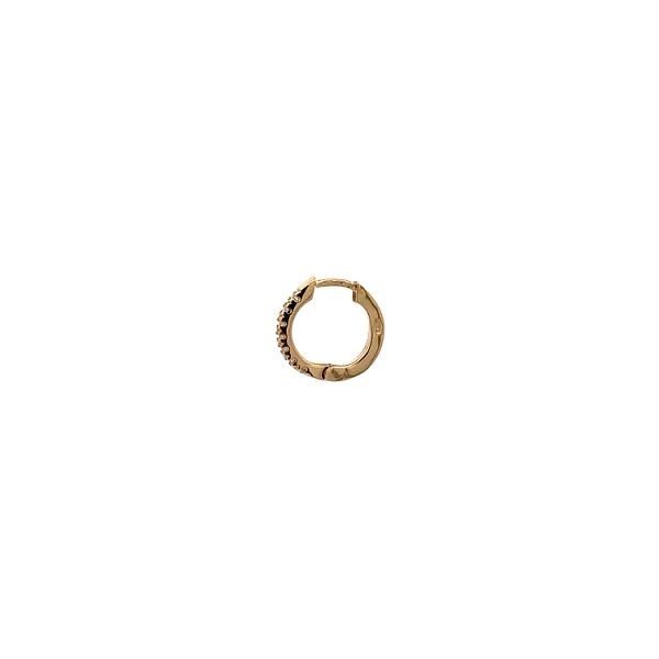 Gold Circular Earrings with Zircons