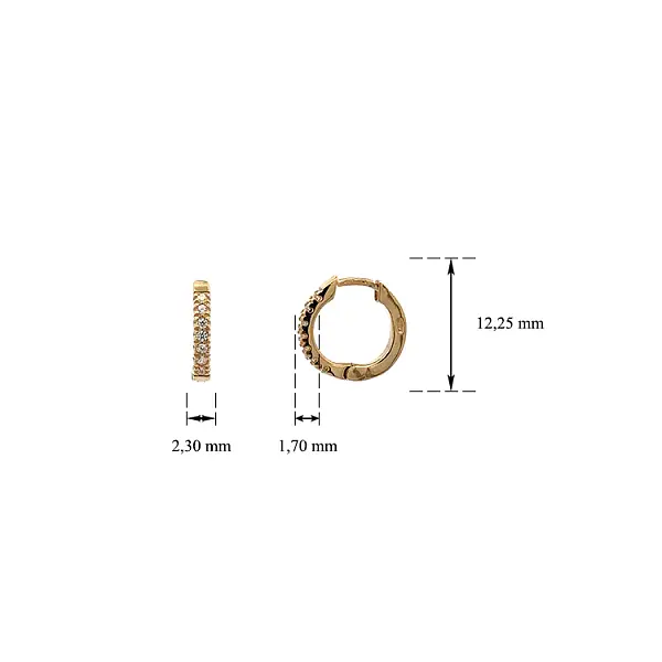 Gold Circular Earrings with Zircons