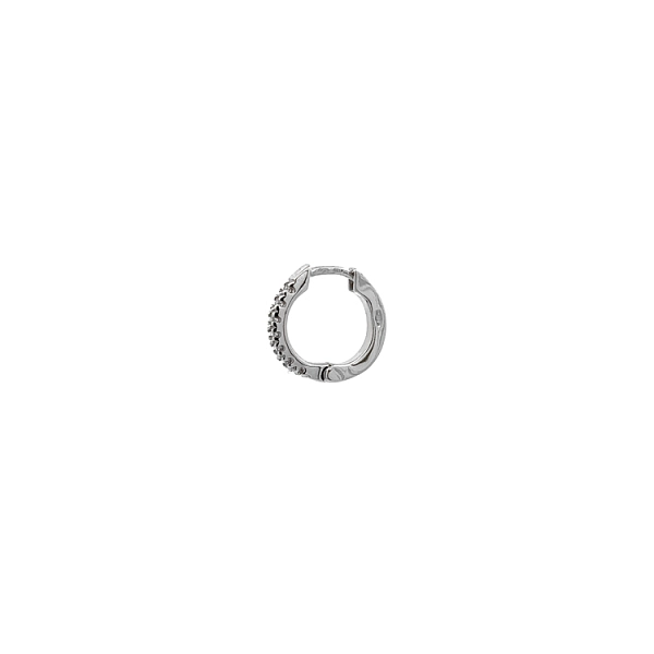 Round Earrings with White Gold Zircons