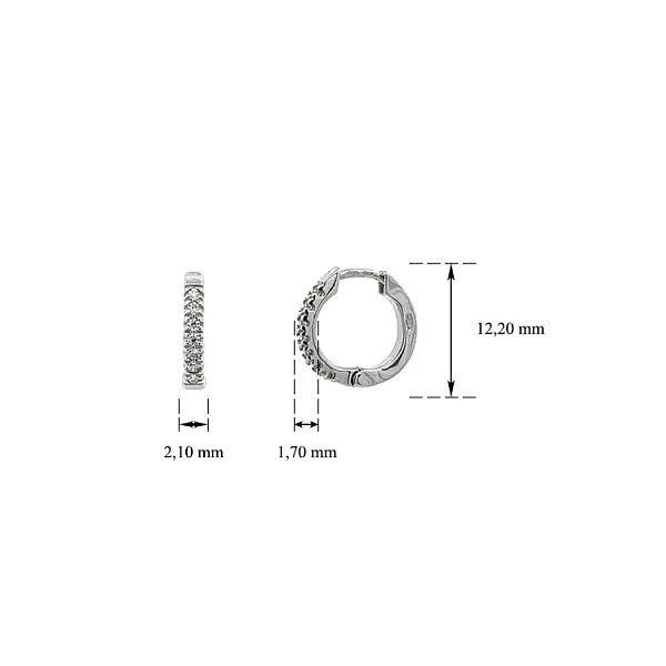 Round Earrings with White Gold Zircons