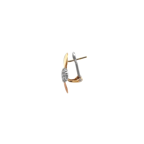 Earrings with Zircones in Gold
