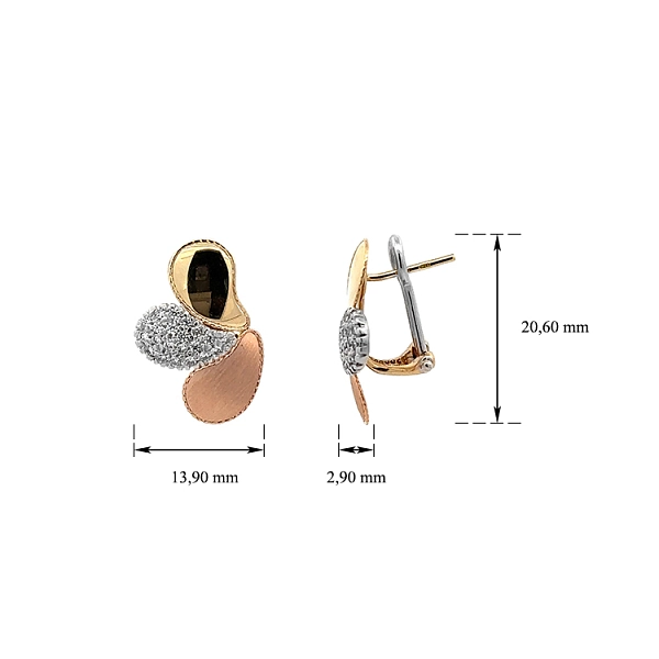 Earrings with Zircones in Gold