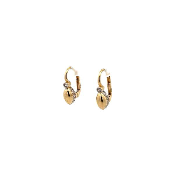 Earrings with Zircones in Gold
