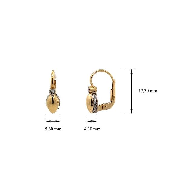 Earrings with Zircones in Gold