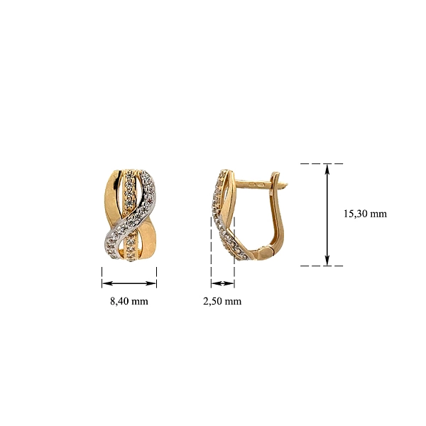 Earrings with Zircones in Gold