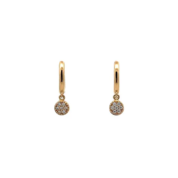 Gold Circular Earrings with Zircons