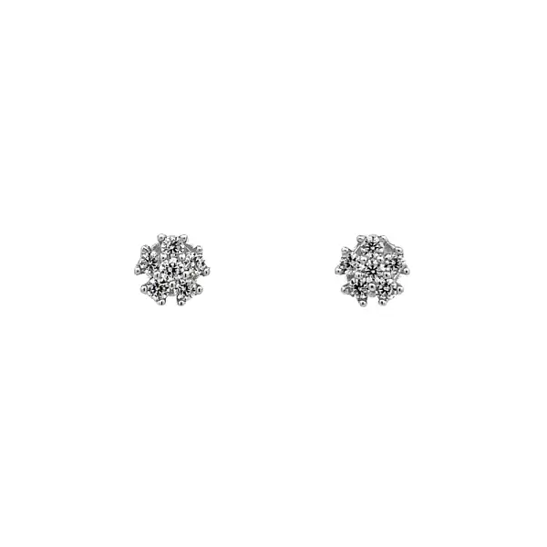 Earrings with White Gold Zircons