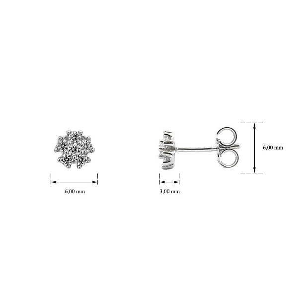 Earrings with White Gold Zircons