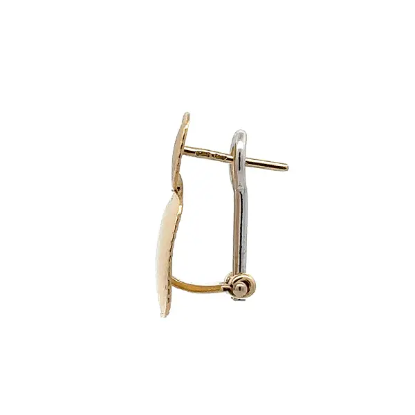 Earrings made of Combination Gold