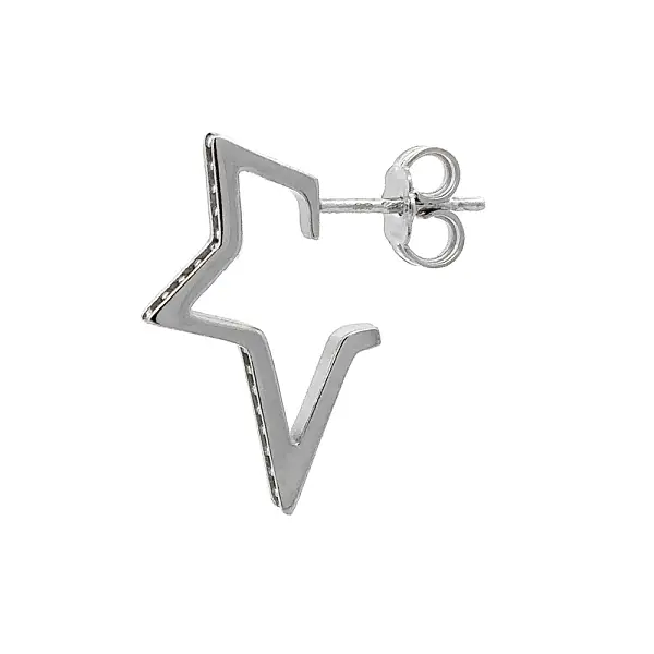 Earrings with White Gold Zircons