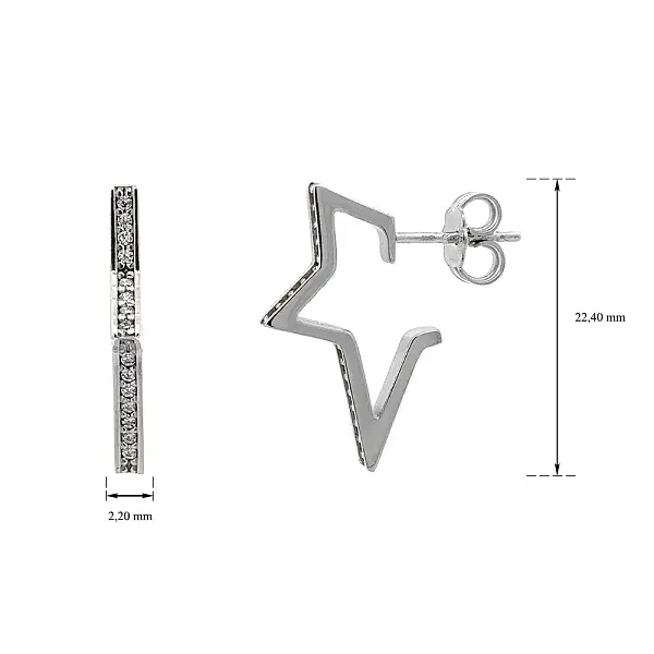 Earrings with White Gold Zircons