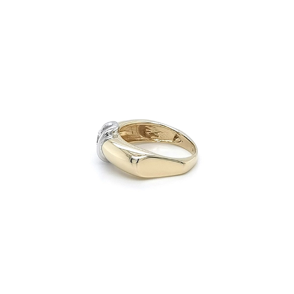 Ring with Ziron from Combined Gold