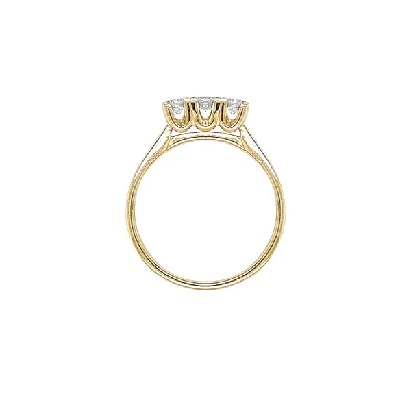 Gold Ring with Zircons