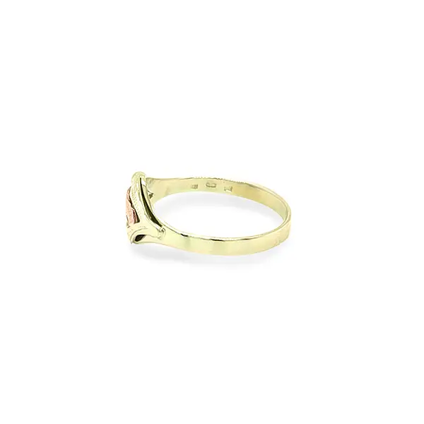 Gold Ring made of Combination Gold