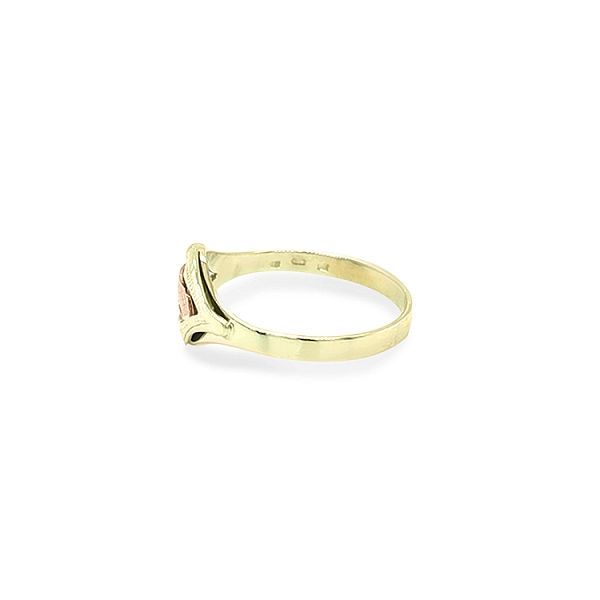 Gold Ring made of Combination Gold