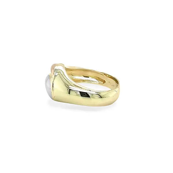 Gold Ring made of Combination Gold