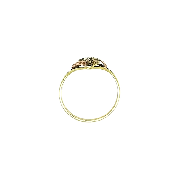 Ring made of mixed gold