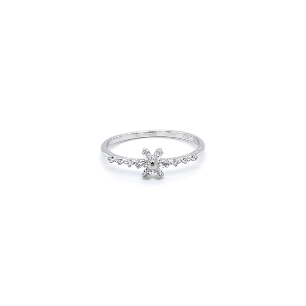 Ring with White Gold Zircons