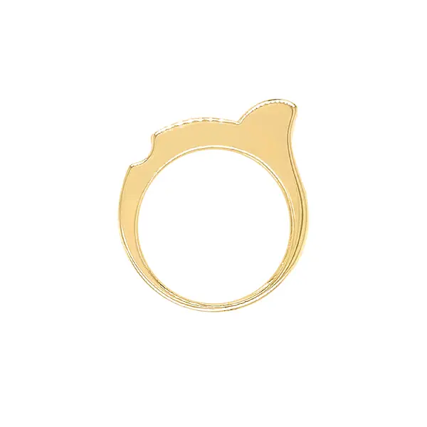 Gold Ring with Zircons