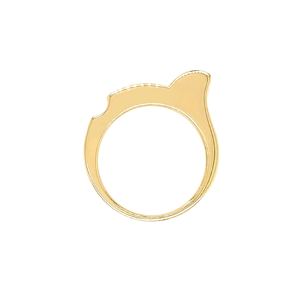 Gold Ring with Zircons