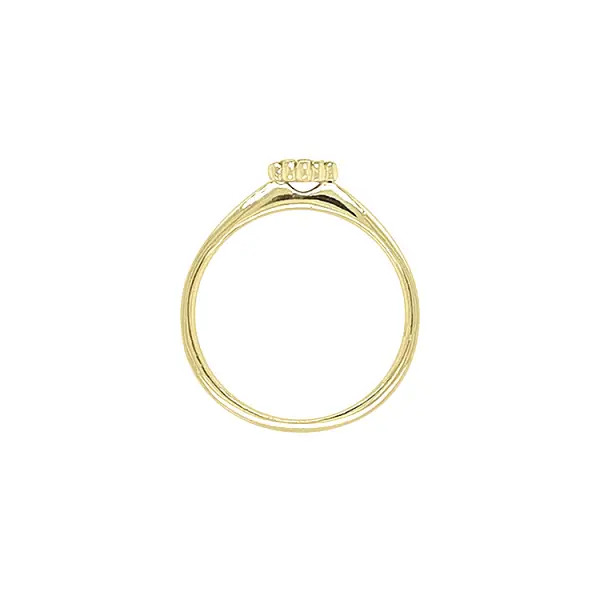 Gold Ring with Zircons